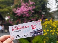 -南汇桃花村