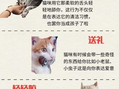 -纳吉亚猫专科动物医院·北北分院