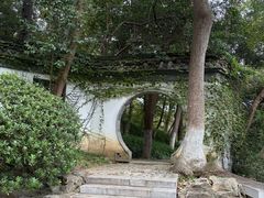 -镇江市南山风景名胜区竹林景区