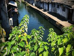 -咸亨酒店•非遗绍兴菜•中华老字号(堂吃餐厅)