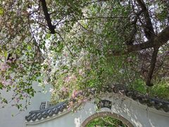 -深圳国际园林花卉博览园