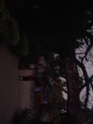 点击看大图 -云湖游乐园