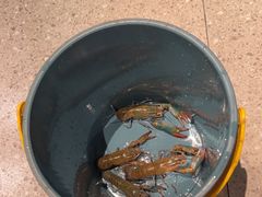 -虾胡闹龙虾馆(湄南河店)