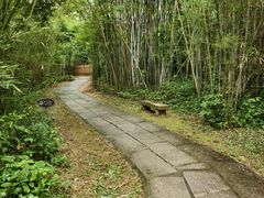 -开平碉楼文化旅游区马降龙景区