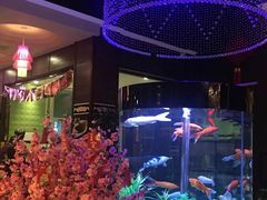 -08涮肉坊(广顺南大街店)