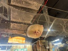 -正佳雨林生态植物园