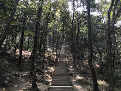 -梧桐山风景名胜区