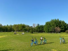 -长白岛森林公园