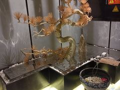 -桐爷小馆(广渠门店)