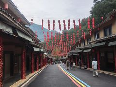 -栾川竹海野生动物园