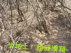 -北京鹫峰国家森林公园