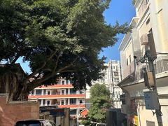 -大中沙茶面(中山路店)