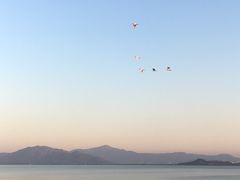 -深圳湾公园(南山区)
