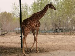 -秦皇岛野生动物园