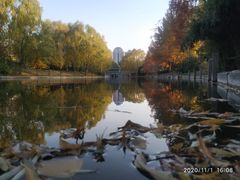 -朝阳公园游乐园