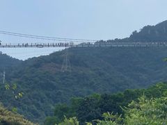 -南丹山森林王国