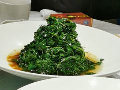 -沪碟·精菜坊(闵行店)