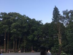 -峨眉山报国寺