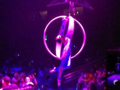 -珠海横琴长隆《卡卡虎奇遇记》