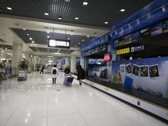 -丽江三义国际机场