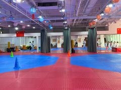 -陈中跆拳道(中关村馆)