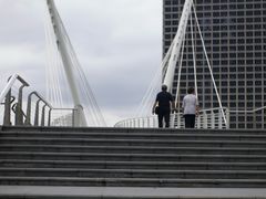 -映月湖中央公园