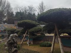 -水绘园