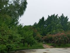 -石家庄市植物园