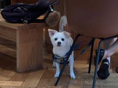 -Wagas沃歌斯(环贸店)