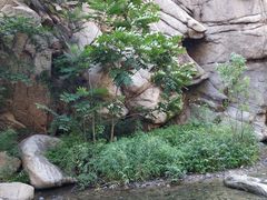 -碓臼峪自然风景区