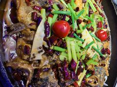 -老板恋上鱼(恒隆广场店)