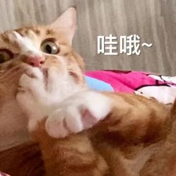 -一曦·女性养护中心