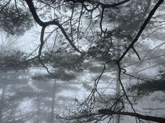 -秦岭天竺山生态文化旅游景区