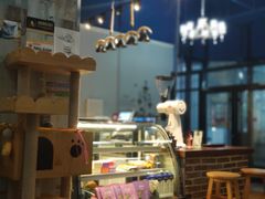 -猫咪咖啡·猫咖(万达广场店)