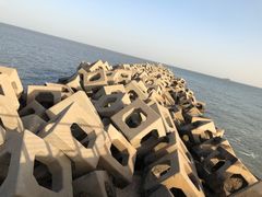 -东疆建设开发纪念公园