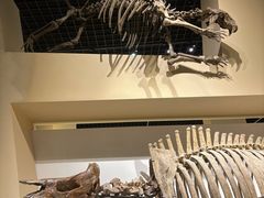 -国家自然博物馆