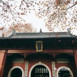 秋日南京不可错过的风景|栖霞山名胜风景区打卡攻略