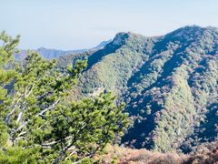 -少华山国家森林公园