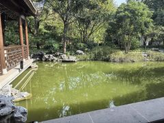 -秋霞圃