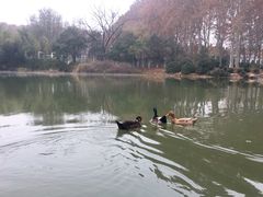 -河南省黄河迎宾馆