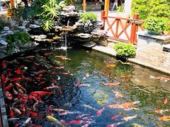 景观位-顺德了能馆(虎门店)