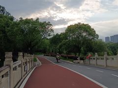 -八大山人梅湖景区