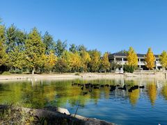 -中家鑫园温泉酒店鑫悦汤泉