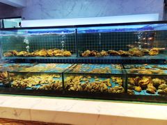 -冀粤香海鲜自助餐厅(西美五洲店)