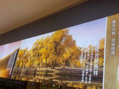 -西域胡氏大盘鸡(谈固店)
