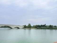 -西京湾花海