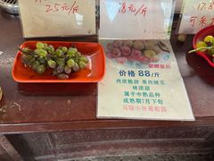 -马陆小张葡萄园农家乐