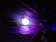 -水晶之星洗浴温泉汗蒸