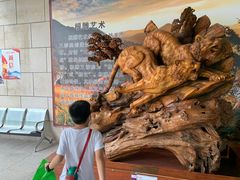 -陕西自然博物馆