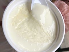 -义顺牛奶公司(新马路老店)